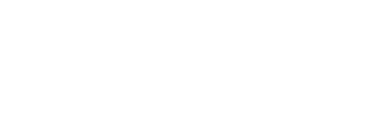 logo de Polytech'Nice-Sophia